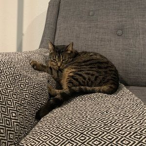 Meet your Posher, Elizabeth